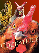 Cockatrice collage prepared by Jim McPherson, 2009, with images either taken from Web or scanned in by Jim McPherson