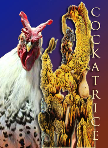 A couple of images suggestive of a cockatrice, one's by Max Ernst, the other's a hen