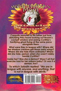 Back cover of Daemonic Desperation