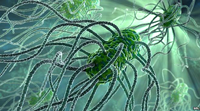 Salmonella bacterium representing Demon Queen Lilith